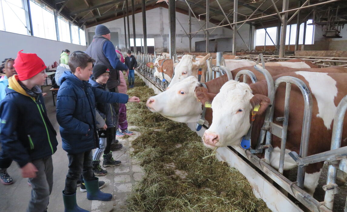 2a Bauernhof