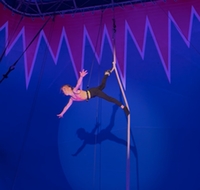 zirkus zirkus
